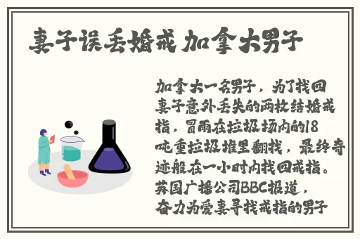 **HD版杨梅思